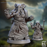 3D Printed Artisan Guild Ivory Priests Elephorim Ivory Sentinels 28mm 32mm