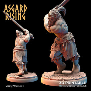 3D Printed Asgard Rising Viking Warriors Set 1 28 32 mm Wargaming DnD - Charming Terrain