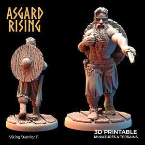 3D Printed Asgard Rising Viking Warriors Set 2 28 32 mm Wargaming DnD - Charming Terrain