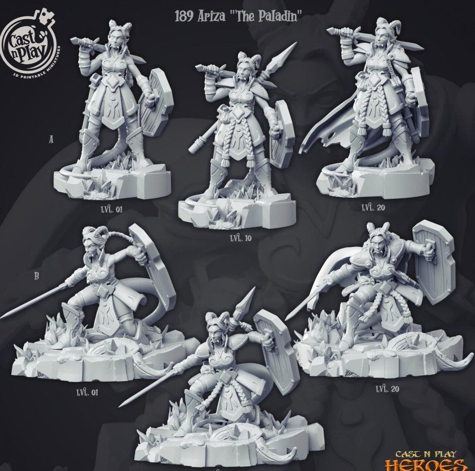 3D Printed Cast n Play Ariza the Paladin Heroes Vol. 1 28mm 32mm D&D - Charming Terrain