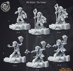 3D Printed Cast n Play Briyur the Gnome Heroes Vol. 1 28mm 32mm D&D - Charming Terrain