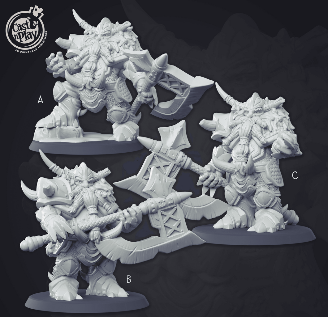 3D Printed Cast n Play - Dwarf Commanders Set 28mm 32mm D&D - Charming Terrain