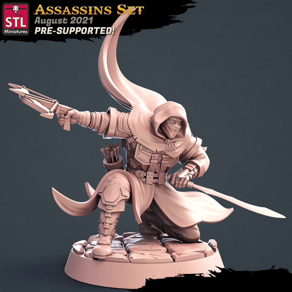 3D Printed STL Miniatures Assassins Set 28 - 32mm War Gaming D&D - Charming Terrain