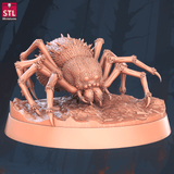 3D Printed STL Miniatures Giant Spiders Set 28 - 32mm War Gaming D&D - Charming Terrain