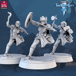 3D Printed STL Miniatures The Frost City Army Knights - Modular 28 - 32mm War Gaming D&D - Charming Terrain