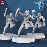 3D Printed STL Miniatures The Frost City Army Knights - Modular 28 - 32mm War Gaming D&D - Charming Terrain