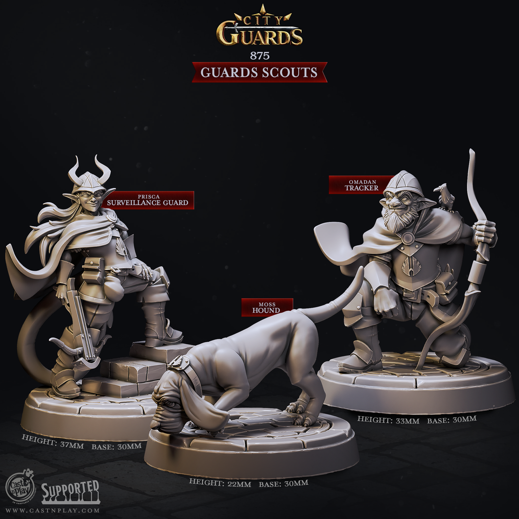 3D Printed Cast n Play Guards Scouts City Guards Set 28mm 32mm D&D