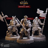 3D Printed Cast n Play Imperial Army City Guards Set 28mm 32mm D&D