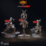 3D Printed Cast n Play Shadow Monks Eternal Monks Set 28mm 32mm D&D