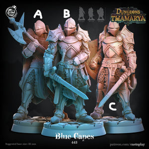 3D Printed Cast n Play Blue Capes Dungeons of Thamarya Set 28mm 32mm D&D