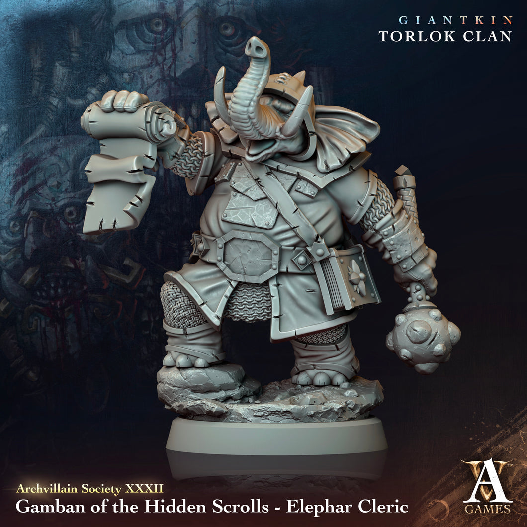 3D Printed Archvillain Games Archvillain Society Vol. XXXII Gamban of the Hidden Scrolls - Elephar Cleric 28 32mm D&D