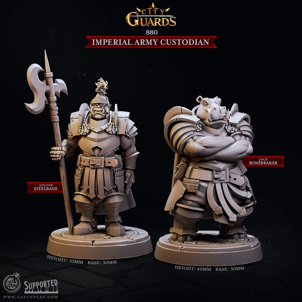 3D Printed Cast n Play Imperial Army Custodian City Guards Set 28mm 32mm D&D