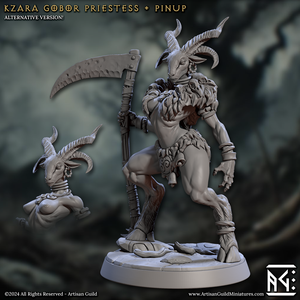 3D Printed Artisan Guild Kzara Gobor Priestess Rise of the Beastmen Set 28mm 32mm