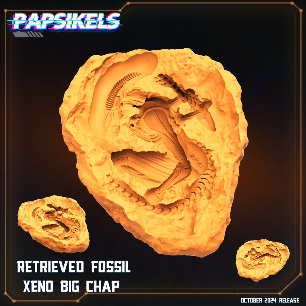 3D Printed Papsikels Retrieved Fossil Xeno Big Chap October 2024 SciFi 28mm 32mm