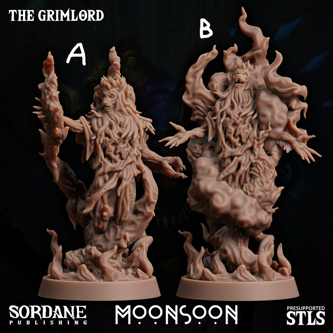 3D Printed Sordane Publishing The Grimlord 28 32mm D&D