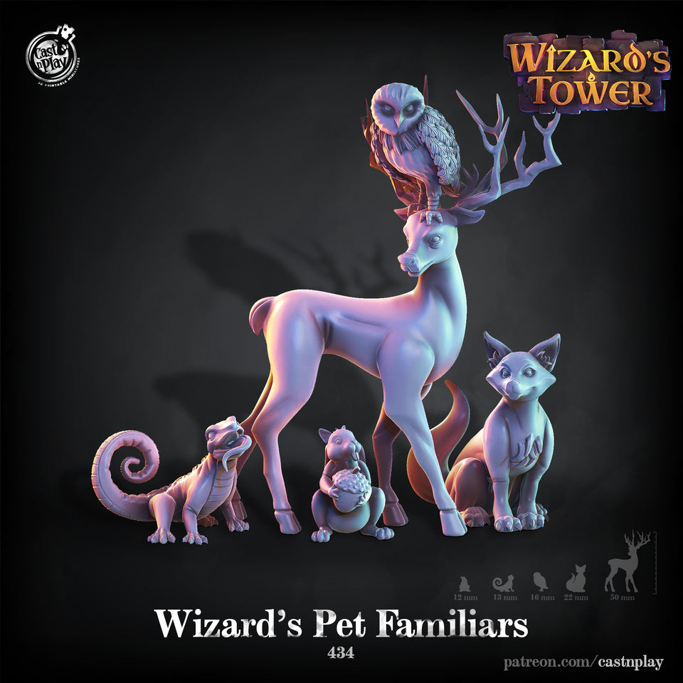 3D Printed Cast n Play - Wizards Pet Familiars 28mm 32mm D&D