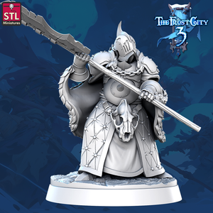 3D Printed STL Miniatures Wraith Knight Core Characters The Frost City 3 28 - 32mm War Gaming D&D