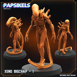 3D Printed Papsikels Xeno Bigchap Nov 2024 Scifi 28mm 32mm