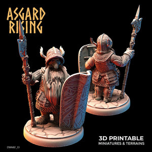 3D Printed Asgard Rising Dwarf Full Plate Shield and Banner Set 28mm - 32mm - Charming Terrain