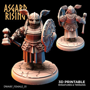 3D Printed Asgard Rising Dwarven Shield-Maidens Set 28mm - 32mm - Charming Terrain