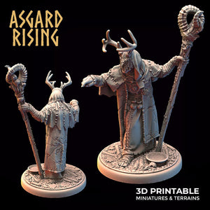 3D Printed Asgard Rising Hofgothi Shaman Seer Wizard | 32mm D&D - Charming Terrain