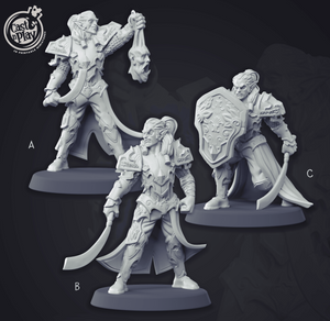 3D Printed Cast n Play Elvish Warrior Champion Set 28mm 32mm D&D - Charming Terrain