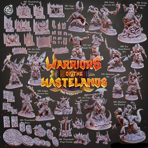 3D Printed Cast n Play Grung Orc Warlock Warriors of the Wastelands 28mm 32mm D&D - Charming Terrain