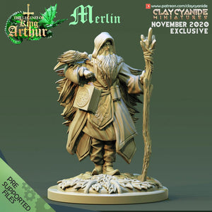 3D Printed Clay Cyanide Merlin The Legend of King Arthur Ragnarok D&D - Charming Terrain