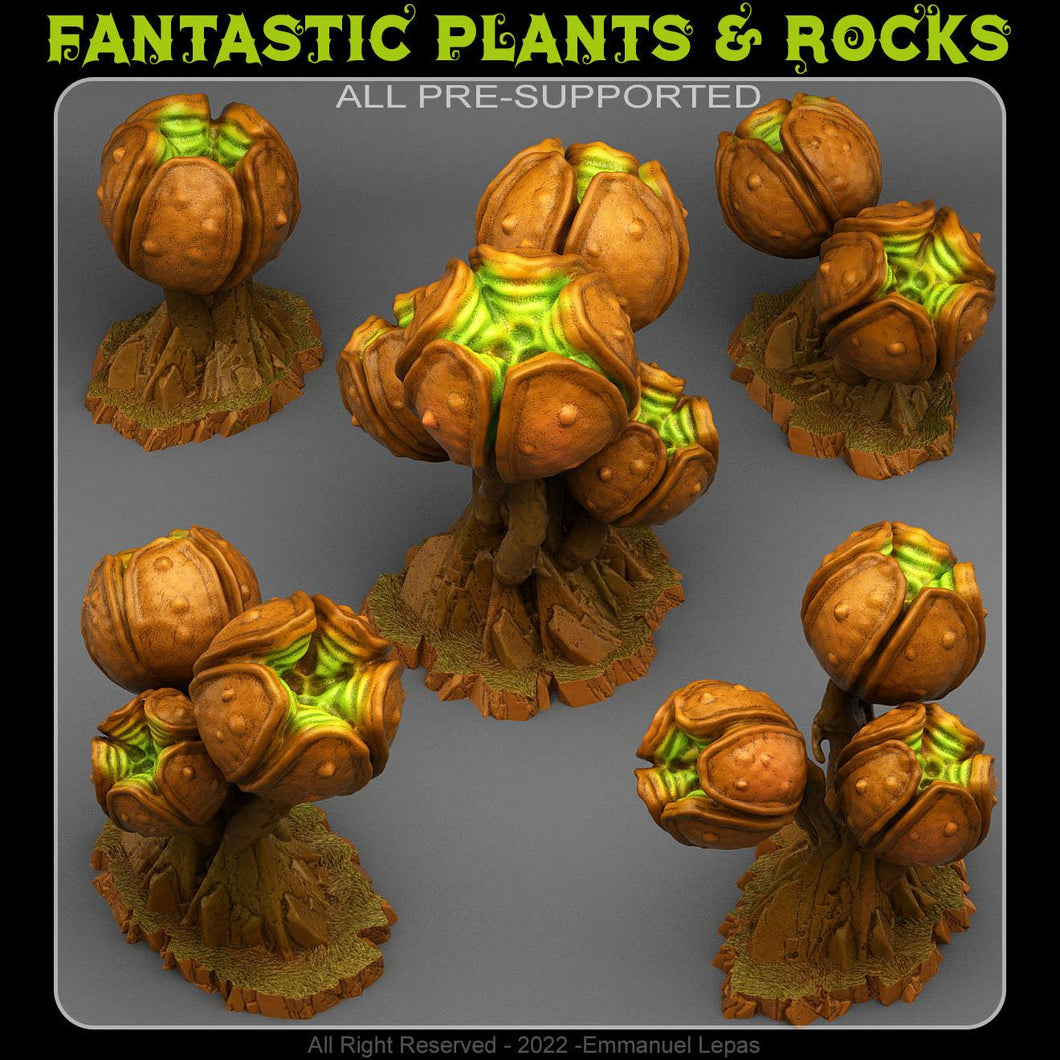 3D Printed Fantastic Plants and Rocks INSANITY SPORE PODS 28mm - 32mm D&D Wargaming - Charming Terrain