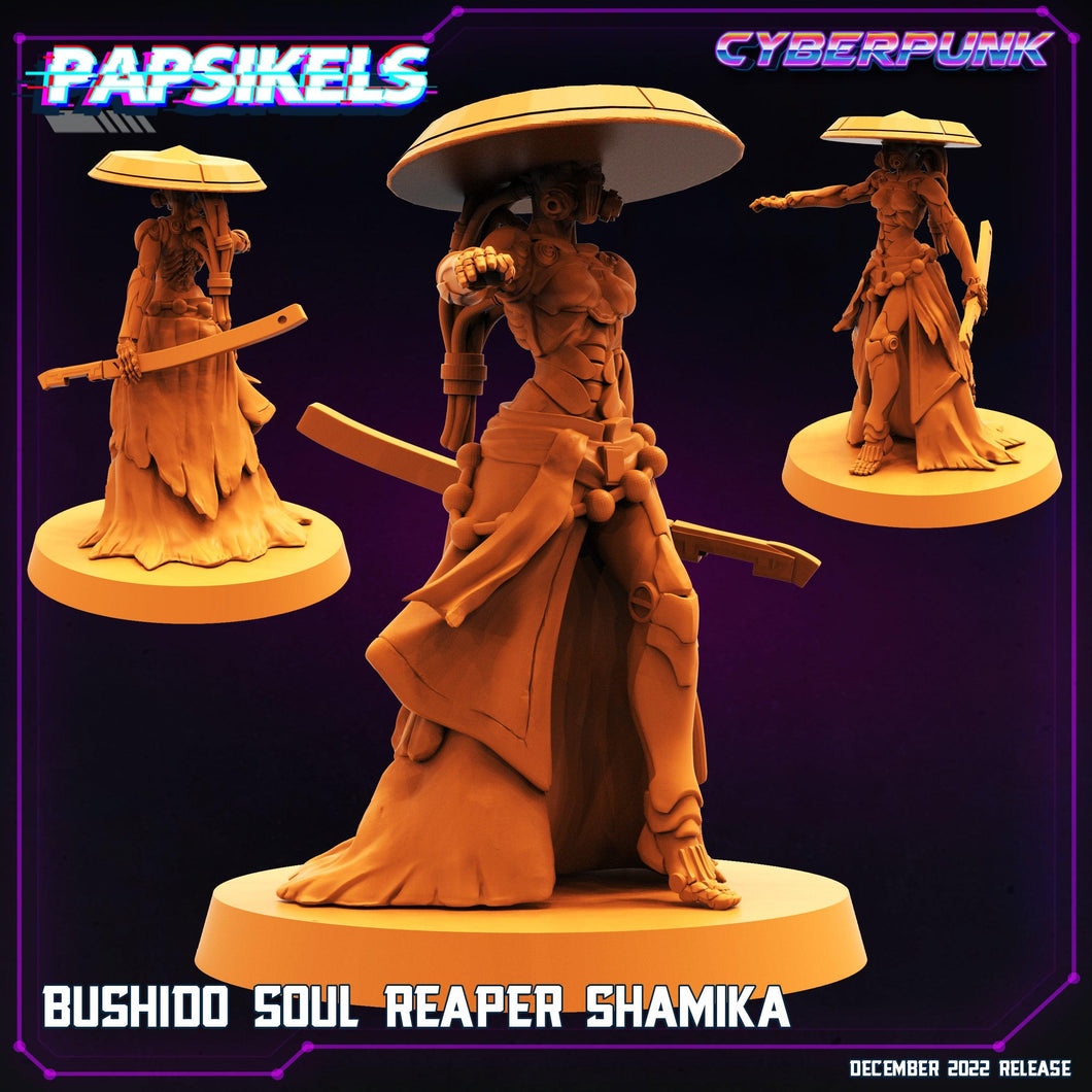 3D Printed Papsikels Cyberpunk Sci-Fi Bushido Soul Reaper Shamika - 28mm 32mm - Charming Terrain