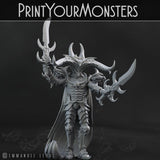 3D Printed Print Your Monsters Dark Elves Chariot and General Set 28mm - 32mm D&D Wargaming - Charming Terrain