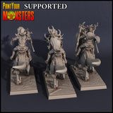 3D Printed Print Your Monsters Dark Elves Rider Set C 28mm - 32mm D&D Wargaming - Charming Terrain