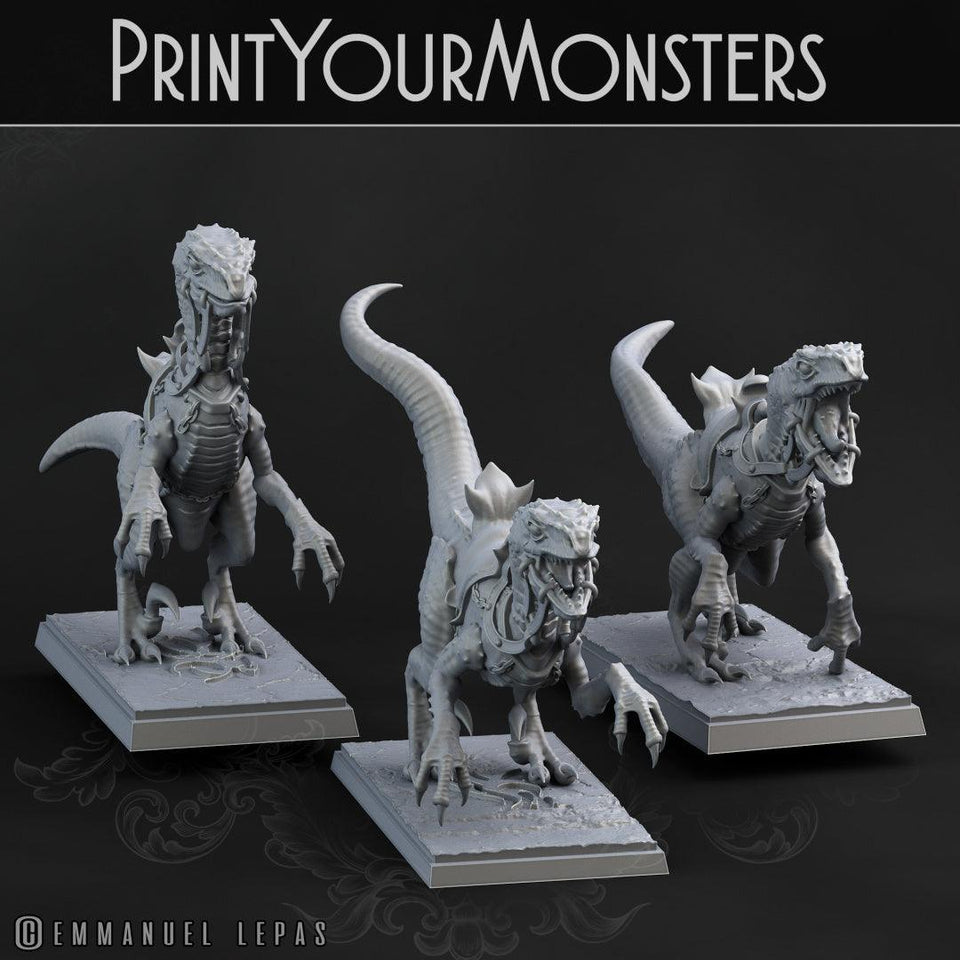 3D Printed Print Your Monsters Dark Elves Rider Set C 28mm - 32mm D&D Wargaming - Charming Terrain