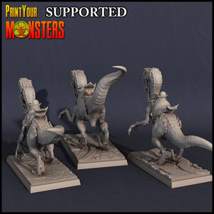 3D Printed Print Your Monsters Dark Elves Rider Set C 28mm - 32mm D&D Wargaming - Charming Terrain