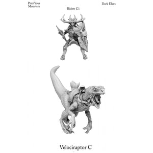 3D Printed Print Your Monsters Dark Elves Rider Set C 28mm - 32mm D&D Wargaming - Charming Terrain