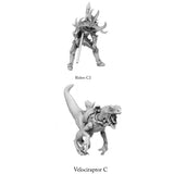 3D Printed Print Your Monsters Dark Elves Rider Set C 28mm - 32mm D&D Wargaming - Charming Terrain