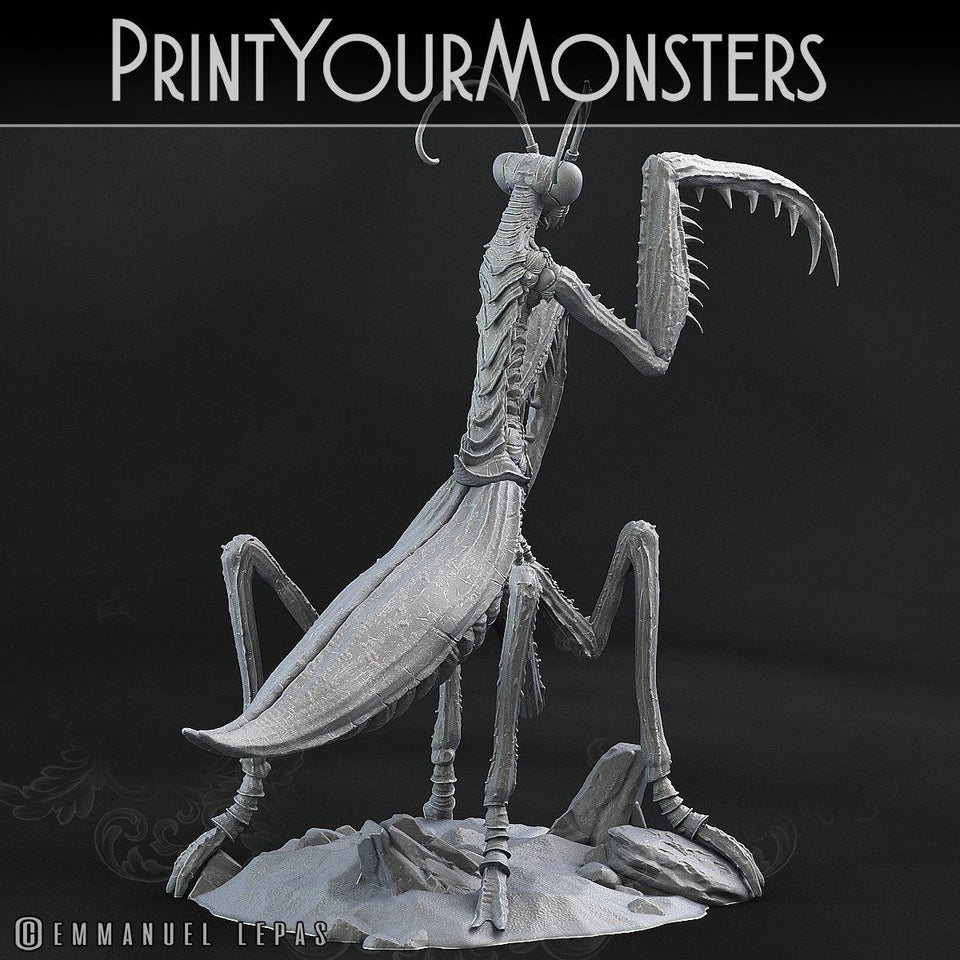 3D Printed Print Your Monsters Giant Mantis Total Insects 28mm - 32mm D&D Wargaming - Charming Terrain