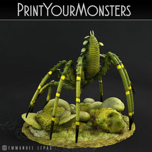 3D Printed Print Your Monsters Total Spiders Set 28mm - 32mm D&D Wargaming - Charming Terrain